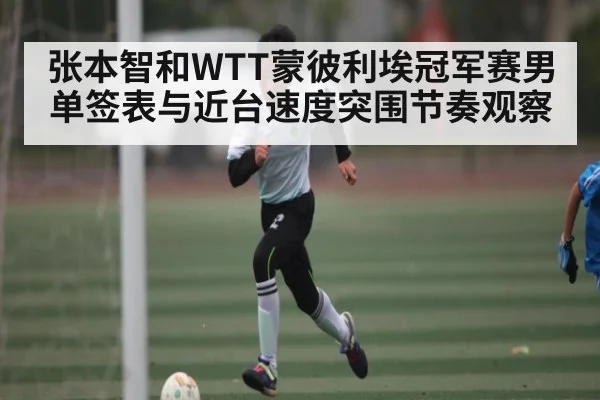 张本智和WTT蒙彼利埃冠军赛男单签表与近台速度突围节奏观察